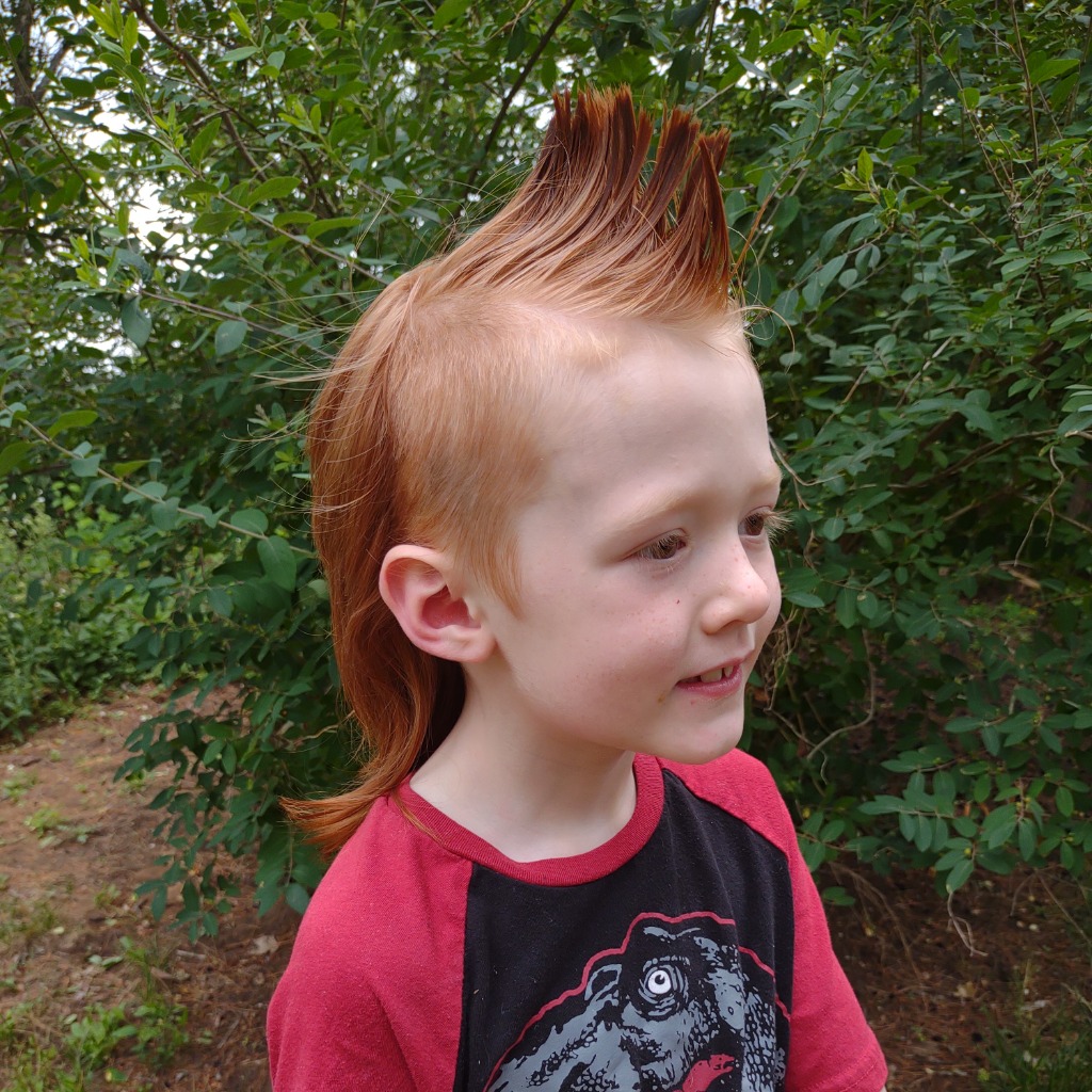 Mathias Waltzer – Cool Red – Mullet Champ