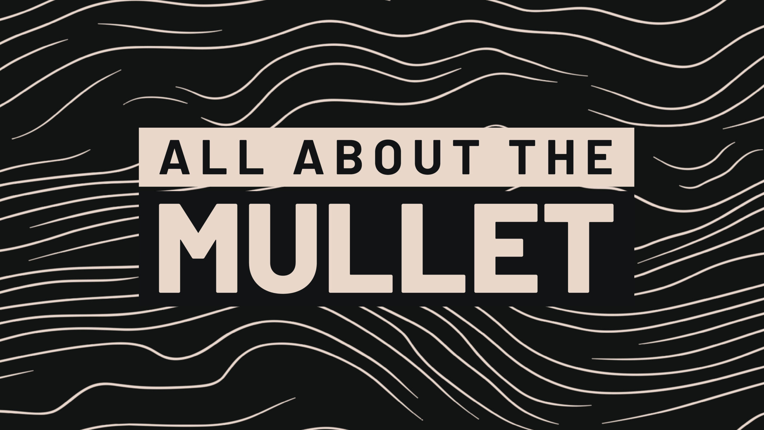 Blog Mullet Champ